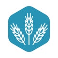 Cereals icon. Agricultural plant. White spikelets on a blue hexagon.